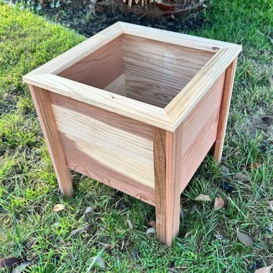 Redwood Box - $50